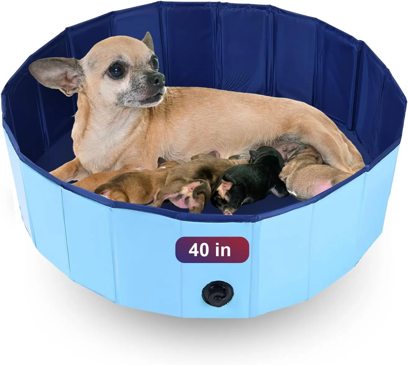 Foldable Whelping Pen for Dogs, Portable Dog Whelping Box & Birthing Pool for Puppies, Plastic Swimming Pool & Bath Tub, Blue, 3
Foldable Whelping Pen for Dogs, Portable Dog Whelping Box & Birthing Pool for Puppies, Plastic Swimming Pool & Bath Tub, Blue, 3