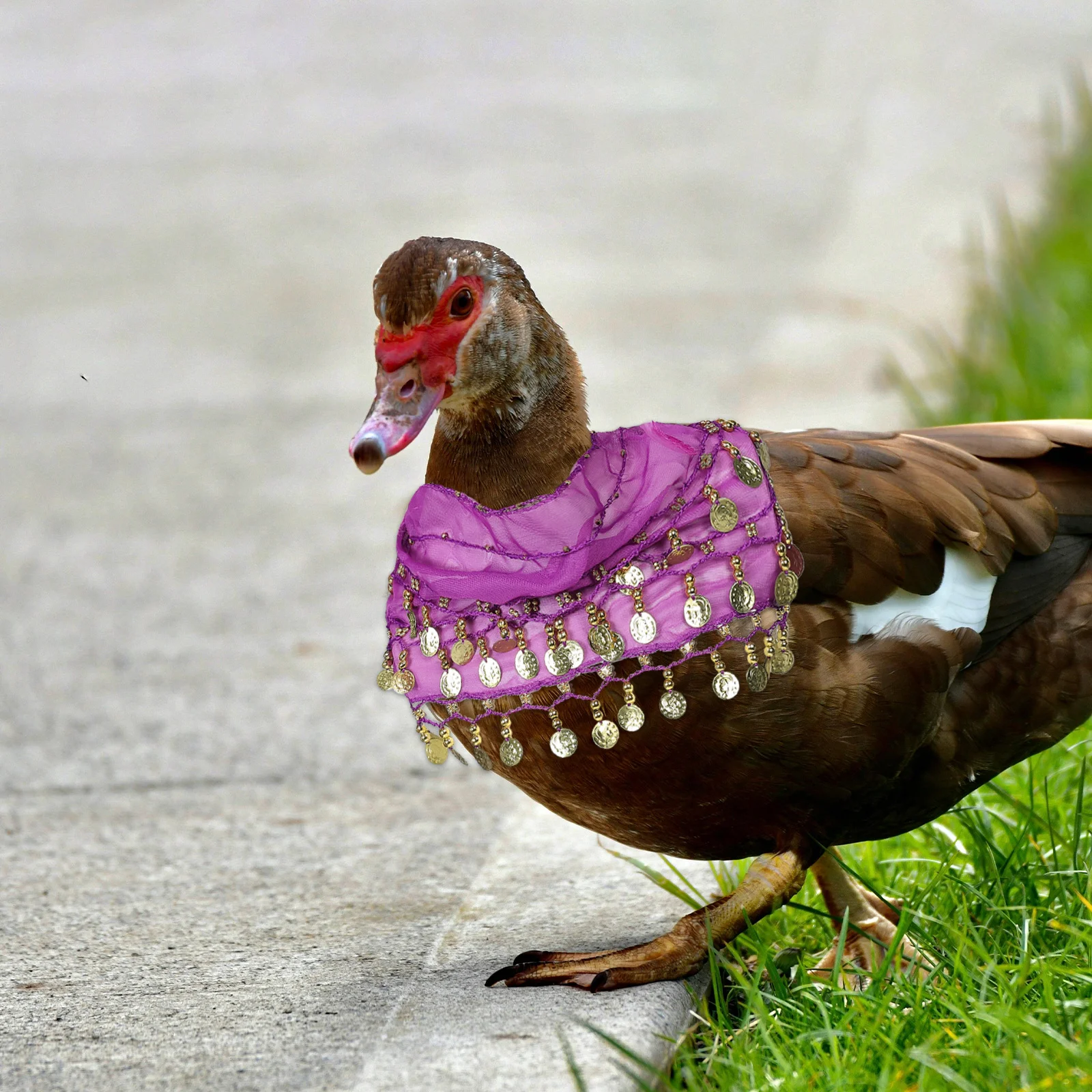 1Set Role Play Costume Set Goose Themed Pet Outfit Includes Headscarf Hip Scarf Easy Wear Design for Yard Outdoor Decorative Use
1Set Role Play Costume Set Goose Themed Pet Outfit Includes Headscarf Hip Scarf Easy Wear Design for Yard Outdoor Decorative Use