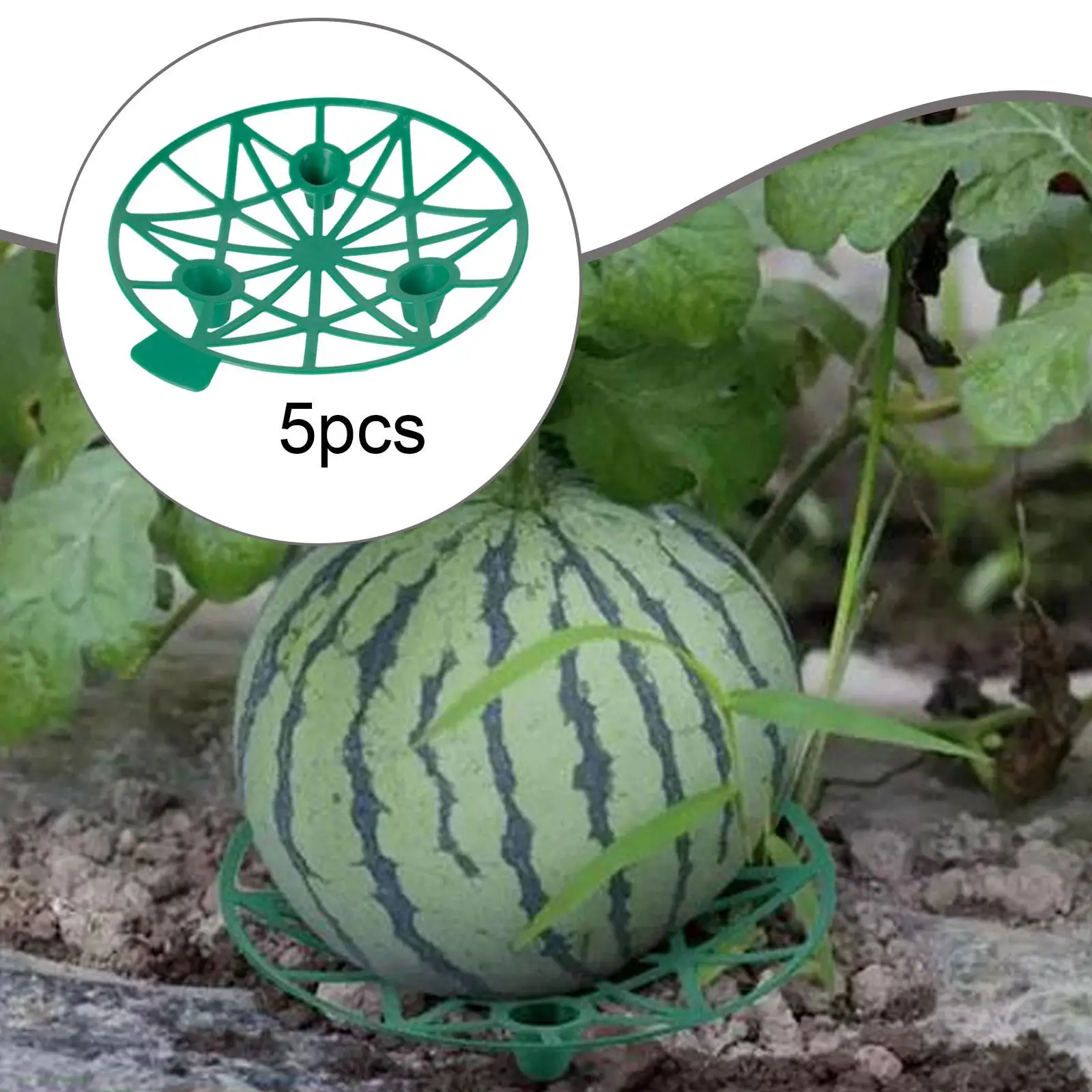 Melon Cradle Green Plastic Plant Support Basket Watermelon Holder Garden Trellis Stand for Fruit Growing
Melon Cradle Green Plastic Plant Support Basket Watermelon Holder Garden Trellis Stand for Fruit Growing