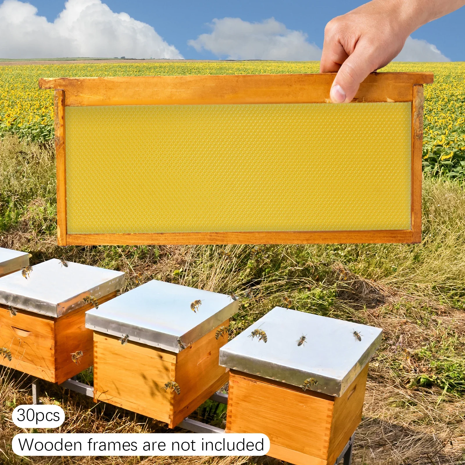 30 yellow honeycomb beeswax-coated sheets, waxed plastic portable deep frame honeycomb sheets
30 yellow honeycomb beeswax-coated sheets, waxed plastic portable deep frame honeycomb sheets