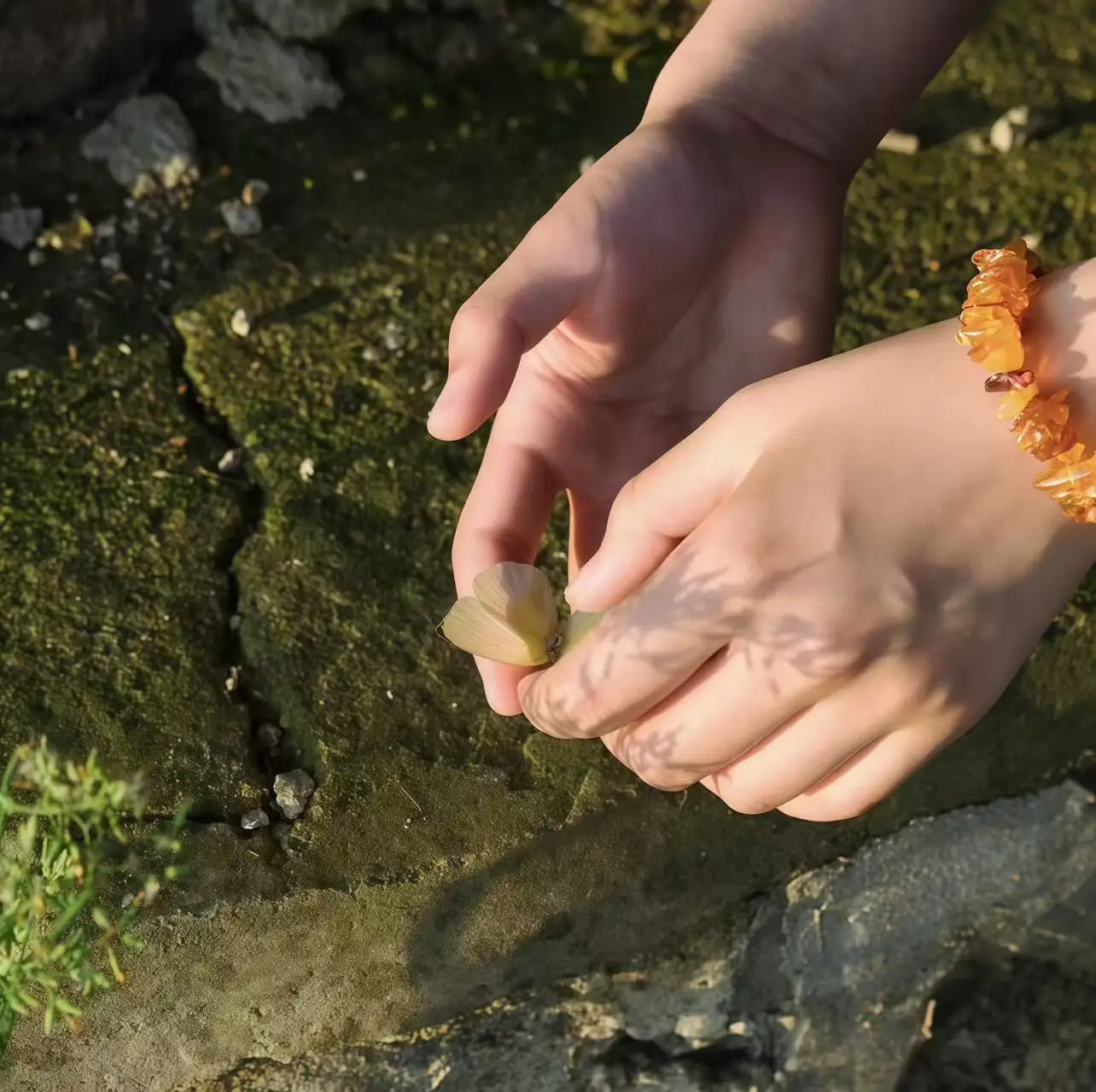 Smart Ice Blue Plus 7 in 1 Oxygen Hydro dermabrasion Bubble Machine Professional Face Hydra Machine rf Lifting ultrason machine
Smart Ice Blue Plus 7 in 1 Oxygen Hydro dermabrasion Bubble Machine Professional Face Hydra Machine rf Lifting ultrason machine