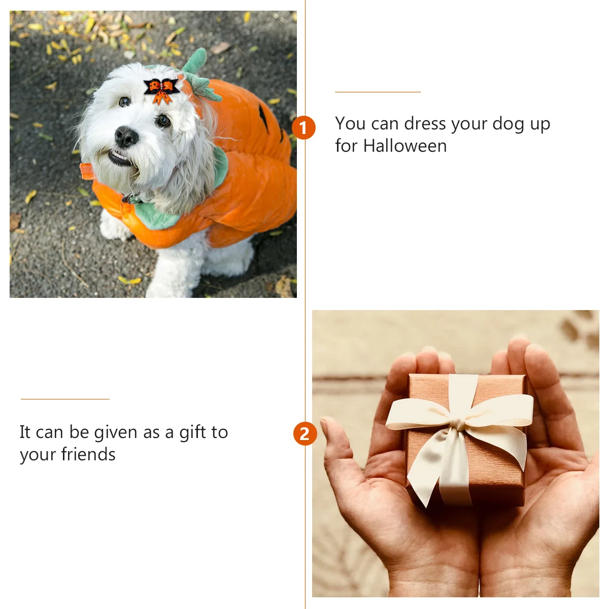 10Pcs Pet Headdress Halloween Dog Headwear Hair Flower Rubber Band Costume Festival Accessory Headdress Pet Headwear
10Pcs Pet Headdress Halloween Dog Headwear Hair Flower Rubber Band Costume Festival Accessory Headdress Pet Headwear