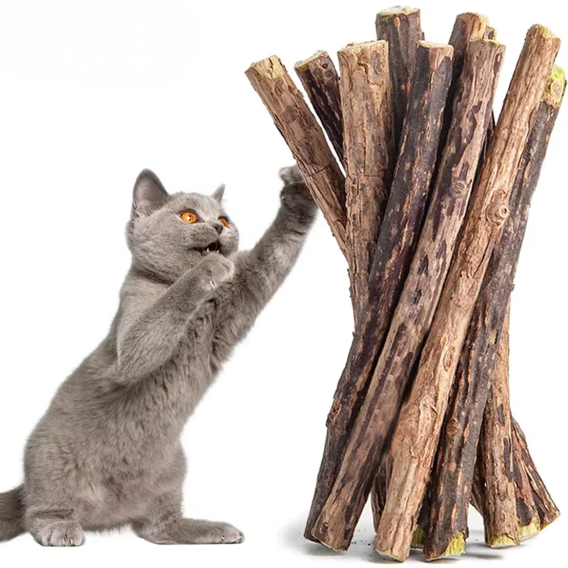 10pcs/lot Cat Catnip Toys Natural Matatabi Sticks for Cats Pet Teeth Cleaning Sticks Cat Relieve Boredom Snacks Pet Supplies
10pcs/lot Cat Catnip Toys Natural Matatabi Sticks for Cats Pet Teeth Cleaning Sticks Cat Relieve Boredom Snacks Pet Supplies