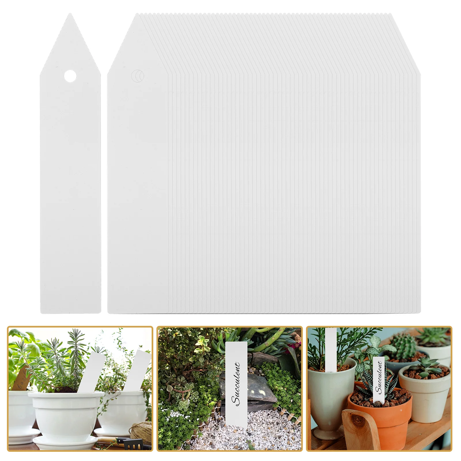 200 Pcs Plant Label for Garden Succulent Planters Plastic Labels Markers Succulents Tag
200 Pcs Plant Label for Garden Succulent Planters Plastic Labels Markers Succulents Tag