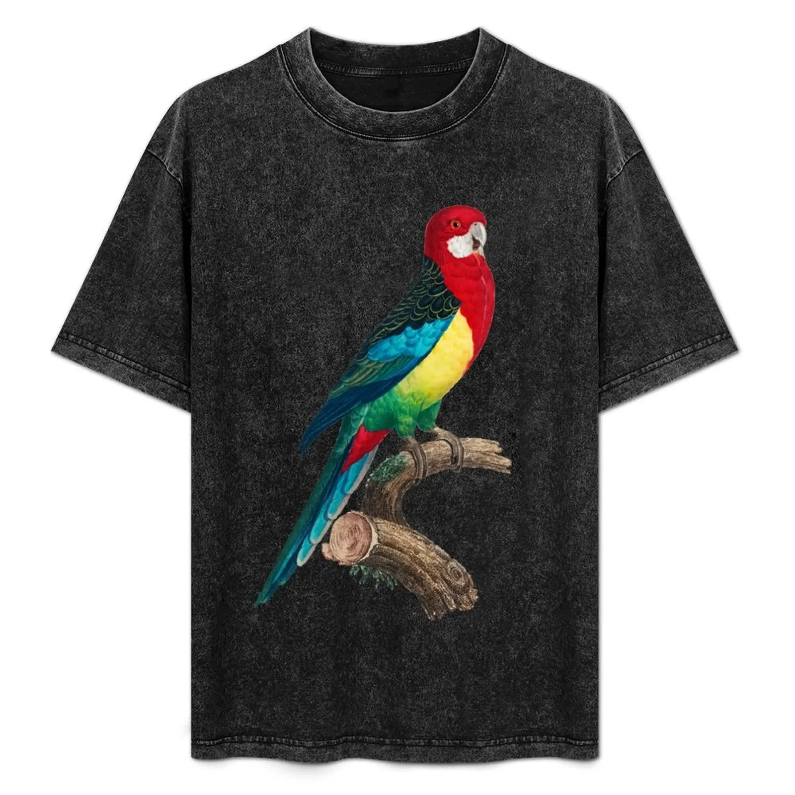 Eastern Rosella T-Shirt croswit shirt man man t shirt rapper graphic tees gifts for boyfriend t shirts for men
Eastern Rosella T-Shirt croswit shirt man man t shirt rapper graphic tees gifts for boyfriend t shirts for men
