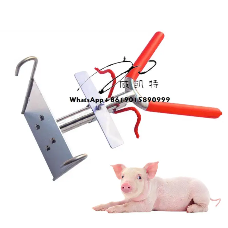 7-25 Days Piglets Pig Holder Double-Furrow Hanging Rack Stainless Steel Castration Rack 
7-25 Days Piglets Pig Holder Double-Furrow Hanging Rack Stainless Steel Castration Rack