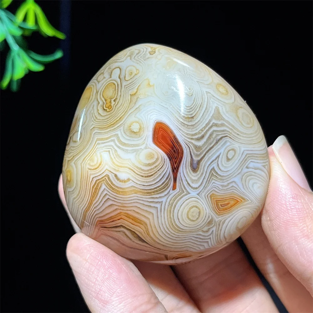 Crystal Natural Carnelian Agate Palm Stone Quartz Silk Minerals Energy Spiritual Lace Feng Shui Healing Reiki Home Decoration
Crystal Natural Carnelian Agate Palm Stone Quartz Silk Minerals Energy Spiritual Lace Feng Shui Healing Reiki Home Decoration