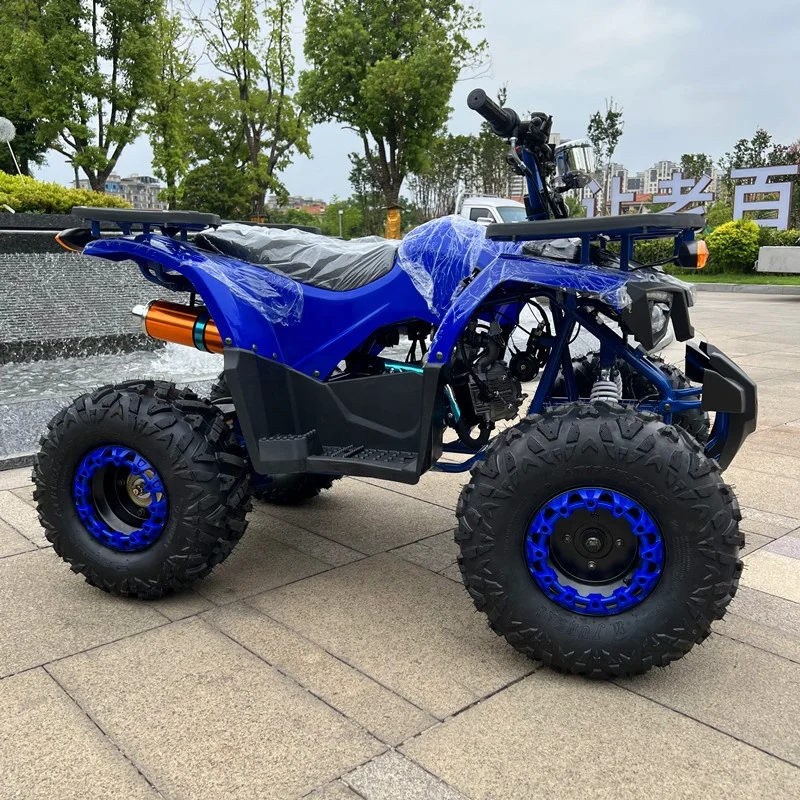 125cc Quad Bike ATV Adults 4 Wheeler ATV
125cc Quad Bike ATV Adults 4 Wheeler ATV