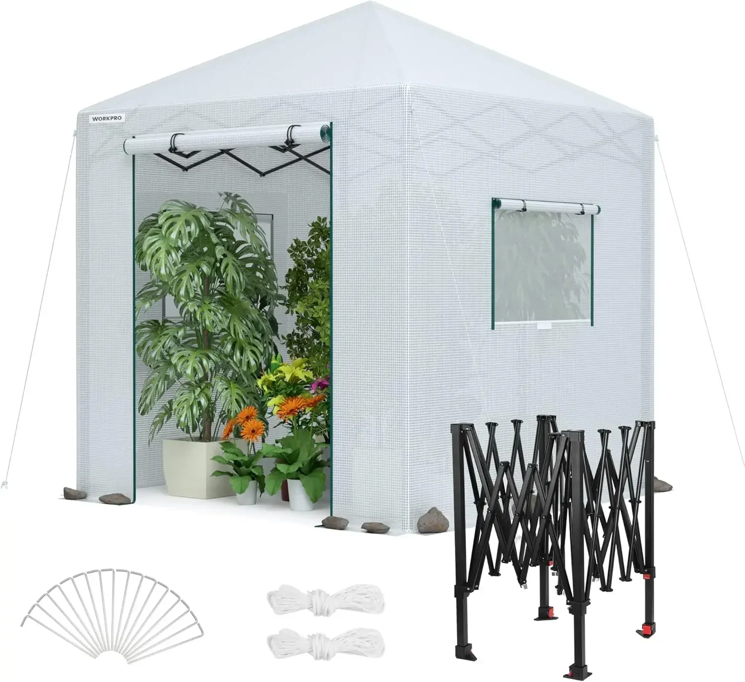 Greenhouse, 94”x 94”x 99” Pop-up Greenhouse for Outdoors , Heavy Duty Gardening House with Sturdy PE Cover, Roll-up Entry Doors
Greenhouse, 94”x 94”x 99” Pop-up Greenhouse for Outdoors , Heavy Duty Gardening House with Sturdy PE Cover, Roll-up Entry Doors