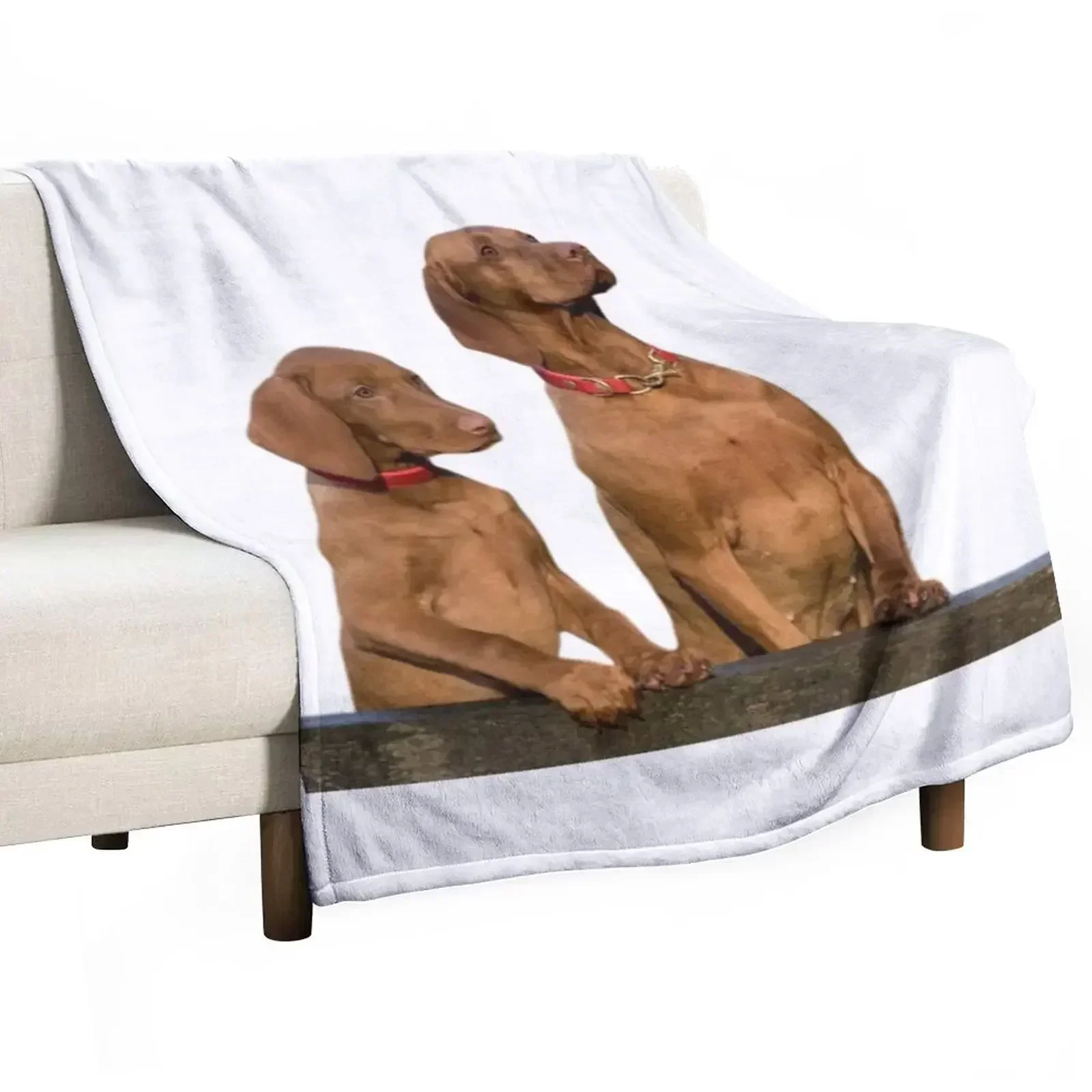 Viszla Dogs Throw Blanket Elegant Warm Throw Blanket for Hotel Home
Viszla Dogs Throw Blanket Elegant Warm Throw Blanket for Hotel Home