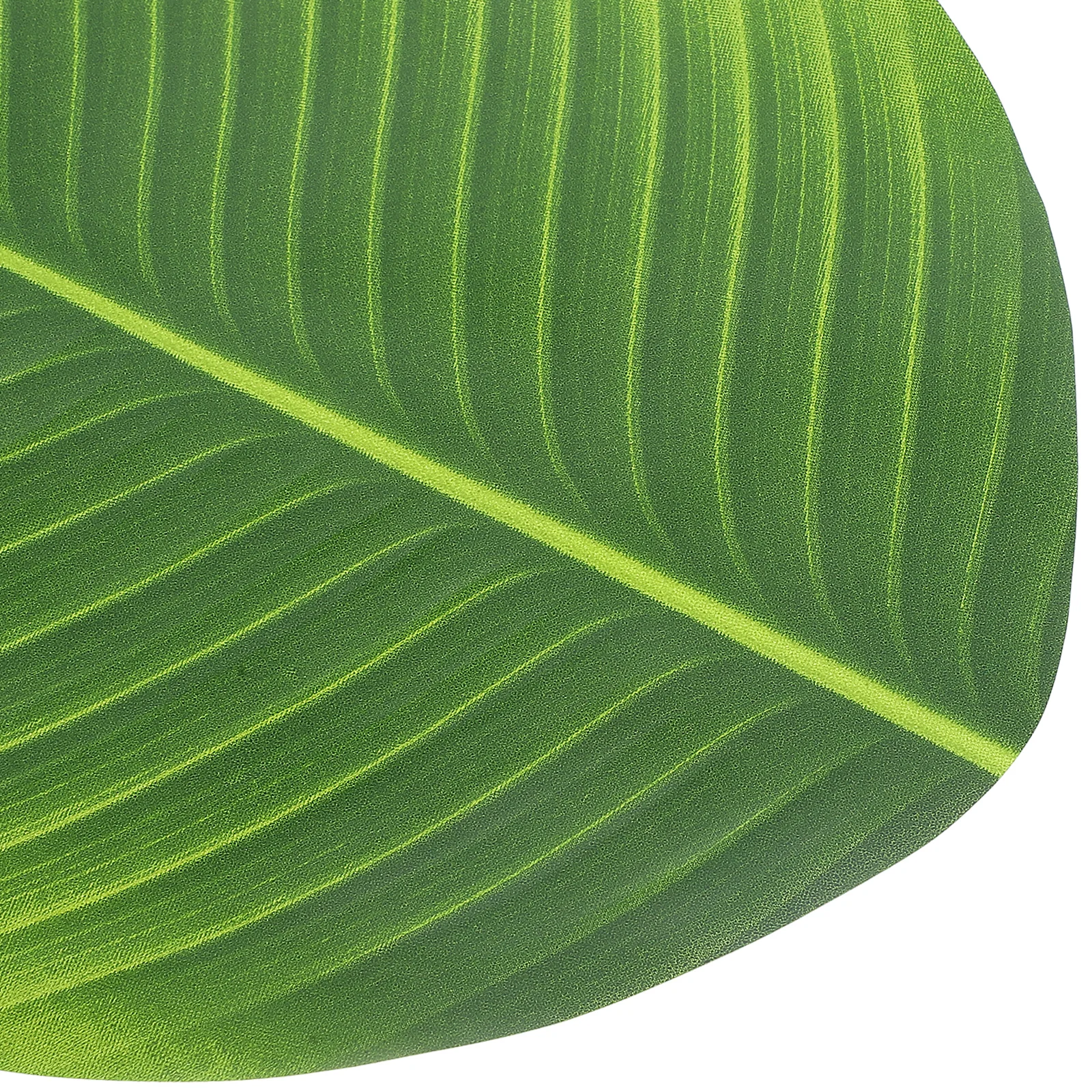 4 Pcs Faux Leaves Simulated Leaf Decoration Realistic Banana UV Green Rubber Cloth
4 Pcs Faux Leaves Simulated Leaf Decoration Realistic Banana UV Green Rubber Cloth