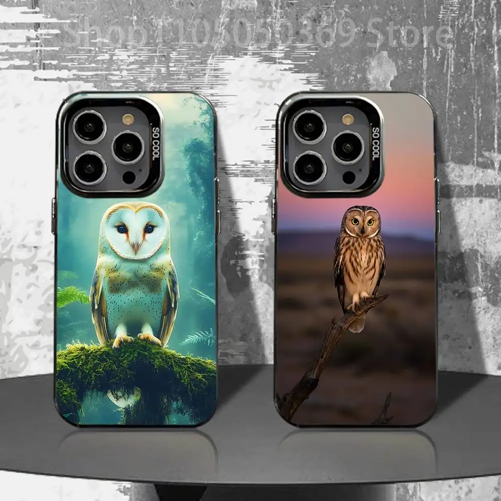 Pet Owl Phone Case For iPhone 16,15,14,13,12,11,Pro,XS,Max,Plus,Mini,SE4,E Black Matte Shockproof Cover
Pet Owl Phone Case For iPhone 16,15,14,13,12,11,Pro,XS,Max,Plus,Mini,SE4,E Black Matte Shockproof Cover