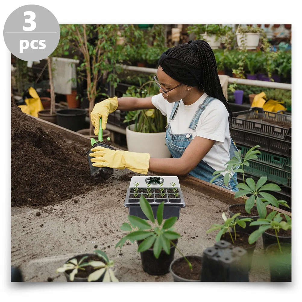 3 Pcs Seedling Tray Breathable Trays Planting Growing Scalable Nursery Boxes Greenhouse Vegetable Germination Sprouted
3 Pcs Seedling Tray Breathable Trays Planting Growing Scalable Nursery Boxes Greenhouse Vegetable Germination Sprouted