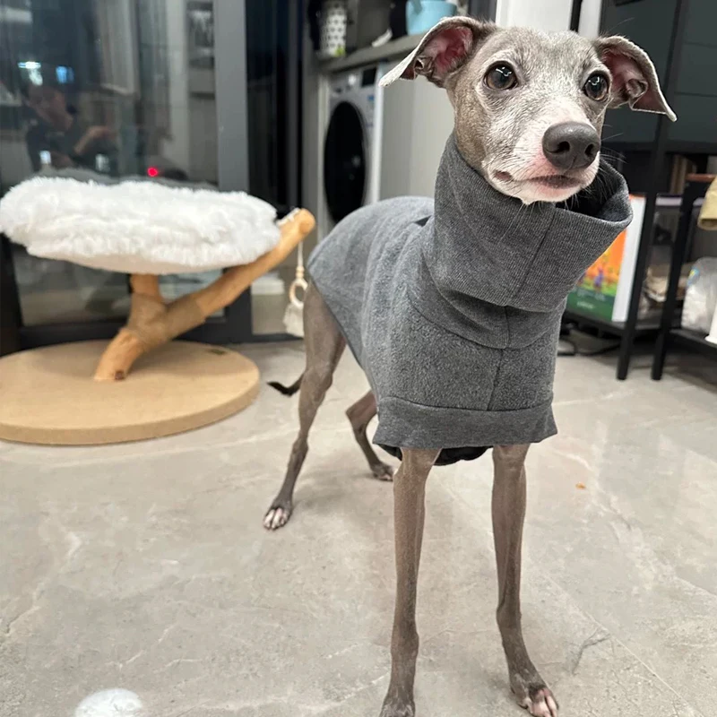 Warm Autumn Winter Pet Turtlenecks Vest High-grade Fabric Italian Greyhound Grey Small Media LargeClothes Whippet Clothing
Warm Autumn Winter Pet Turtlenecks Vest High-grade Fabric Italian Greyhound Grey Small Media LargeClothes Whippet Clothing