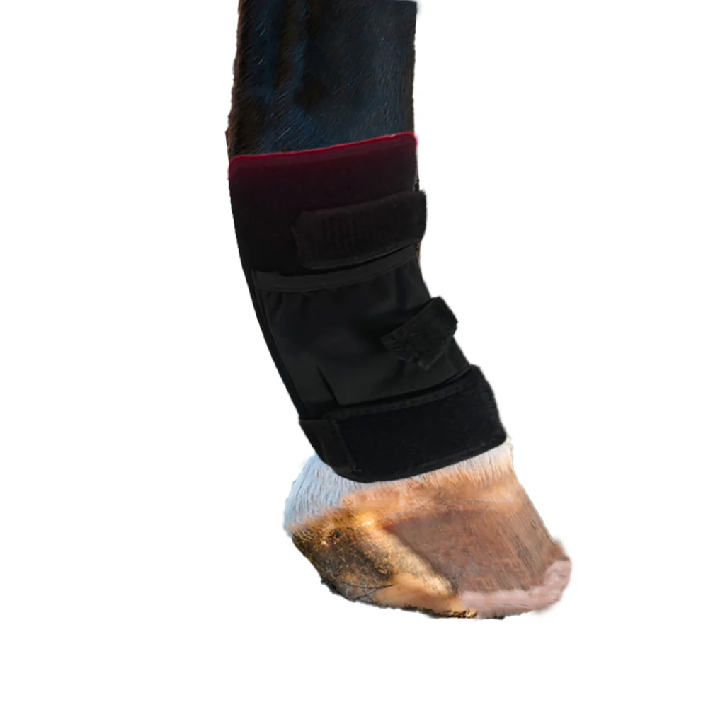Multifunctional Wavelength Horse Leg Wrapping Pad 660nm 850nm Pain Relief Relaxes Muscles Red Light Therapy Pad
Multifunctional Wavelength Horse Leg Wrapping Pad 660nm 850nm Pain Relief Relaxes Muscles Red Light Therapy Pad