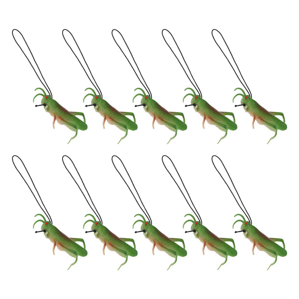 10 Pcs Model Toy Desktop Grasshoppers Figurine Fake Bugs Tpr Insect Children Toys Statue
10 Pcs Model Toy Desktop Grasshoppers Figurine Fake Bugs Tpr Insect Children Toys Statue