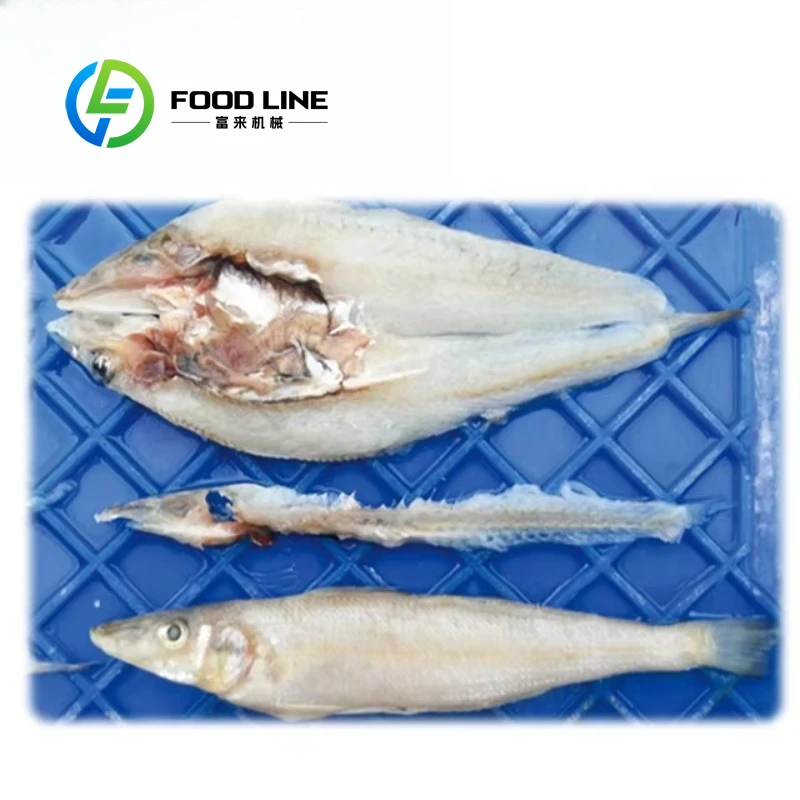 Customized FCM118 Automatic Small Fish Fillet Cutting & Deboning Machine 150KG Capacity with CE
Customized FCM118 Automatic Small Fish Fillet Cutting & Deboning Machine 150KG Capacity with CE