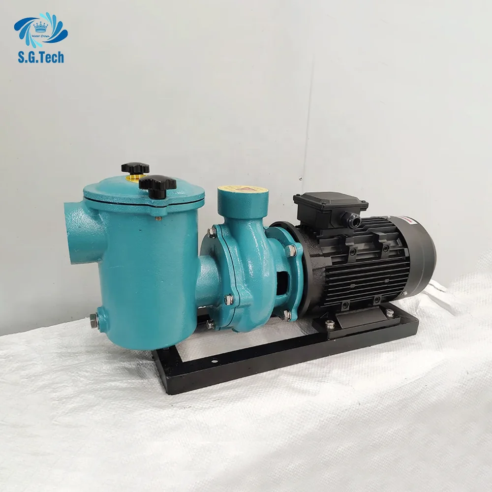 2026 Brand New Swimming Pool Water Pumps Filters High Flow High Pressure Iron Pool Eco Friendly Pump For Competition Pool
2026 Brand New Swimming Pool Water Pumps Filters High Flow High Pressure Iron Pool Eco Friendly Pump For Competition Pool