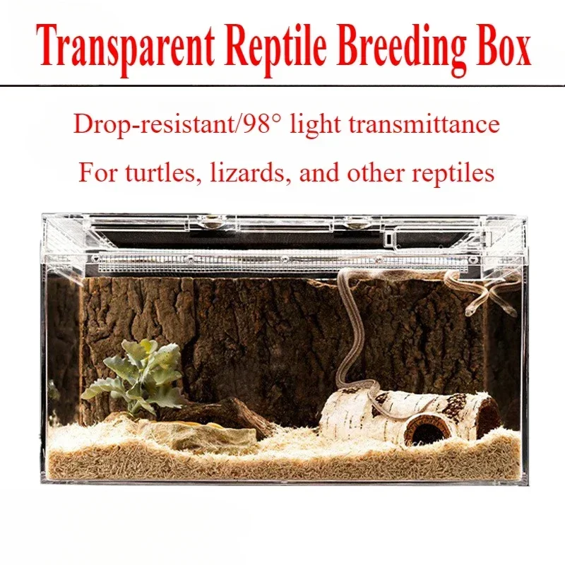 Turtles Transparent Reptile Feeding Boxs Lizards Reptiles Habitat Spider Scorpion Bearded Dragon Cage Reptiles Breeding Tank
Turtles Transparent Reptile Feeding Boxs Lizards Reptiles Habitat Spider Scorpion Bearded Dragon Cage Reptiles Breeding Tank