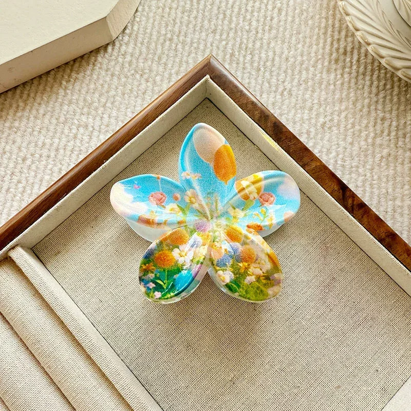 Women's Sweet Gradient Egg Flower Grab Clip Shark Clip Printed Bauhinia Flower Seaside Vacation Fashion Versatile Headpiece
Women's Sweet Gradient Egg Flower Grab Clip Shark Clip Printed Bauhinia Flower Seaside Vacation Fashion Versatile Headpiece