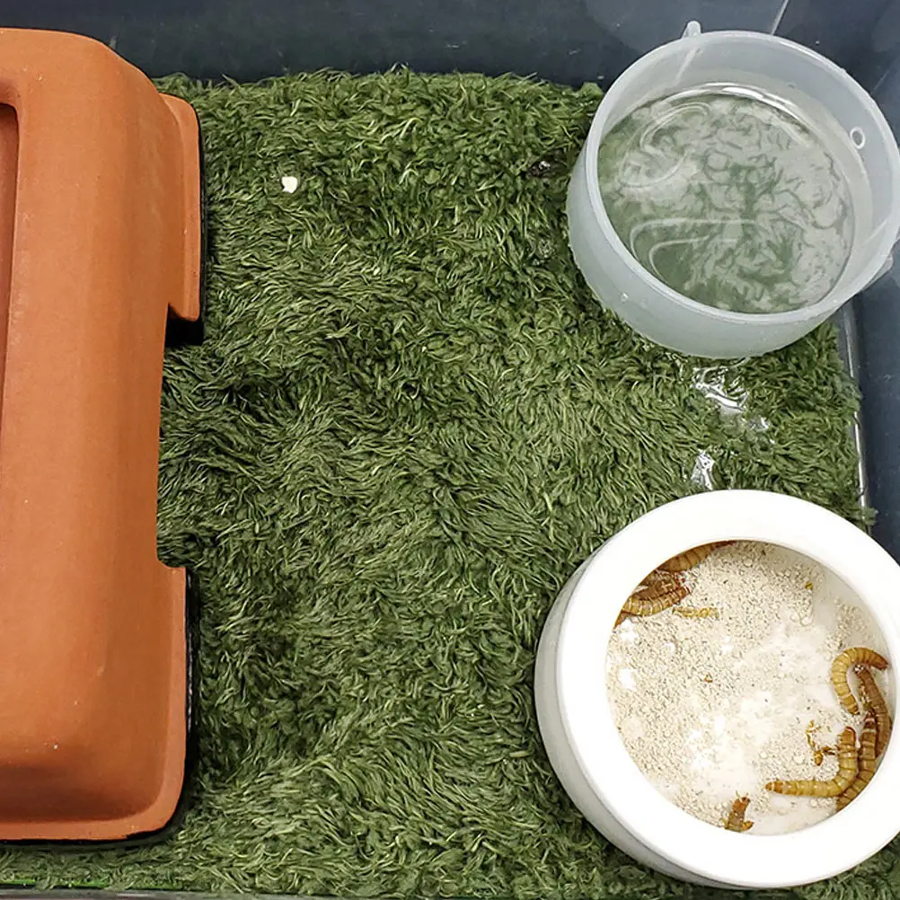 Fake Grass Reptile Mat Soft Absorbent Natural-Looking Reptile Tank Decor Iguana Cage Accessories Tortoise Supply Simulation Lawn
Fake Grass Reptile Mat Soft Absorbent Natural-Looking Reptile Tank Decor Iguana Cage Accessories Tortoise Supply Simulation Lawn