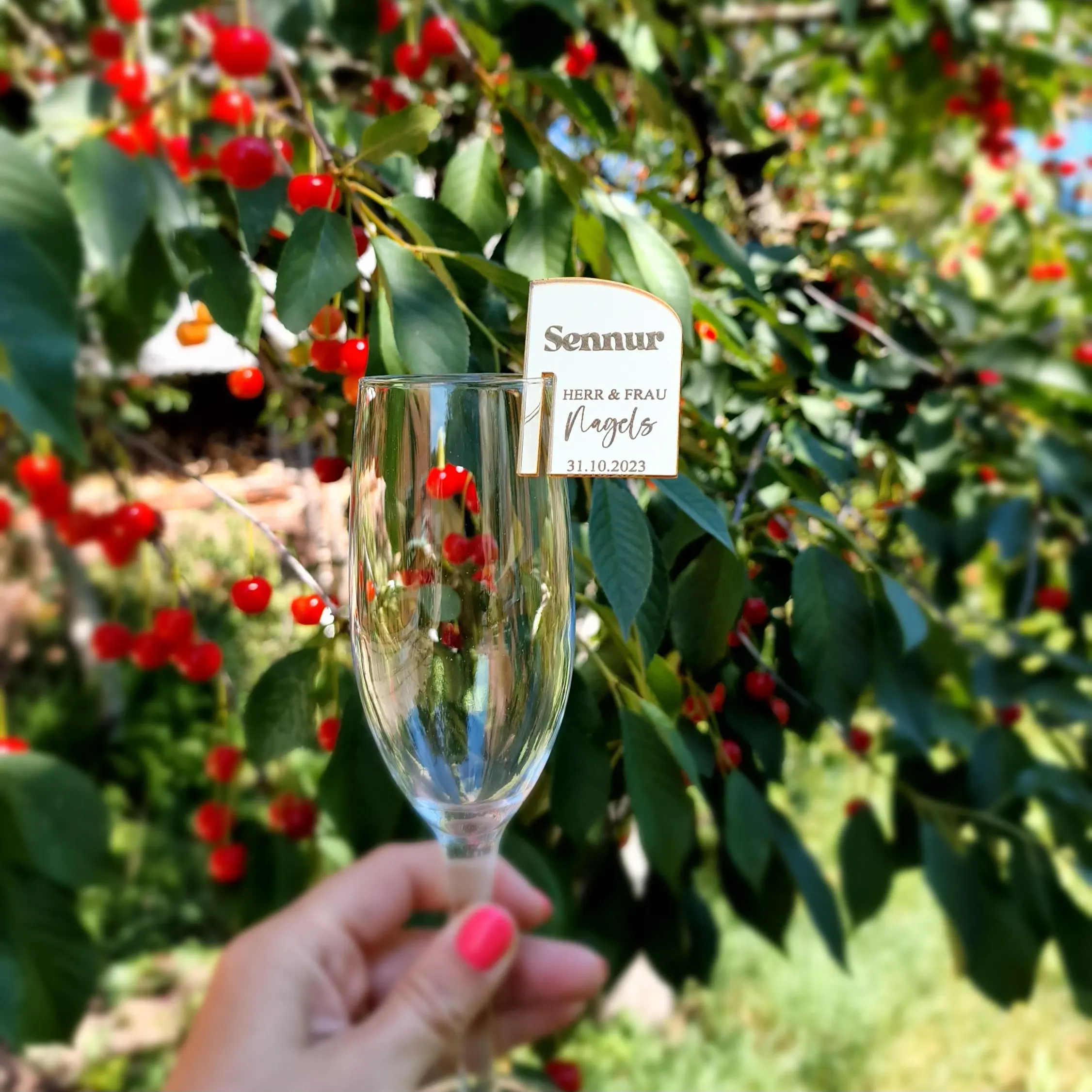 Personalized Acrylic Wedding Name Place Cards, Champagne Glass Tag, Custom,Wine Glass Charm, Drink Topp, 5, 10, 25, 30Pcs
Personalized Acrylic Wedding Name Place Cards, Champagne Glass Tag, Custom,Wine Glass Charm, Drink Topp, 5, 10, 25, 30Pcs