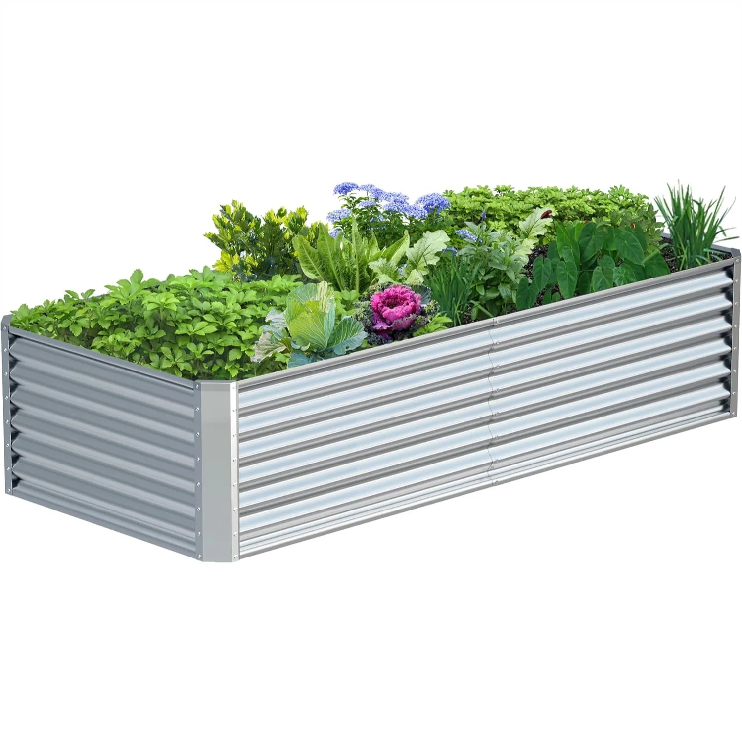 Galvanized Raised Garden Bed 8x2x2FT, Large Metal Planter Box for Vegetables, Durable Outdoor Garden Box with Safety Pads
Galvanized Raised Garden Bed 8x2x2FT, Large Metal Planter Box for Vegetables, Durable Outdoor Garden Box with Safety Pads
