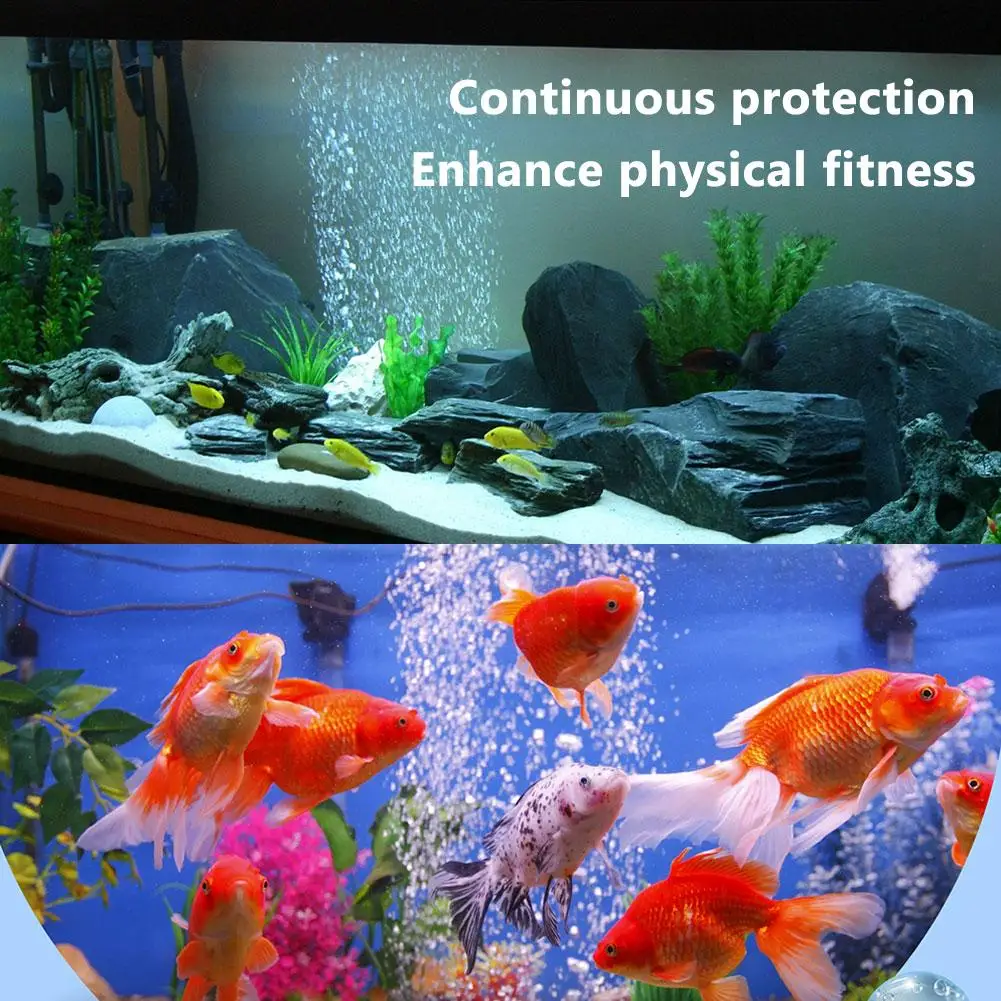 Fish Tank Water Conditioner Efficient Purifier & Algae Enhances Cleaner Water Quality Remover Tank Water Fish Cleaner Aquar
Fish Tank Water Conditioner Efficient Purifier & Algae Enhances Cleaner Water Quality Remover Tank Water Fish Cleaner Aquar