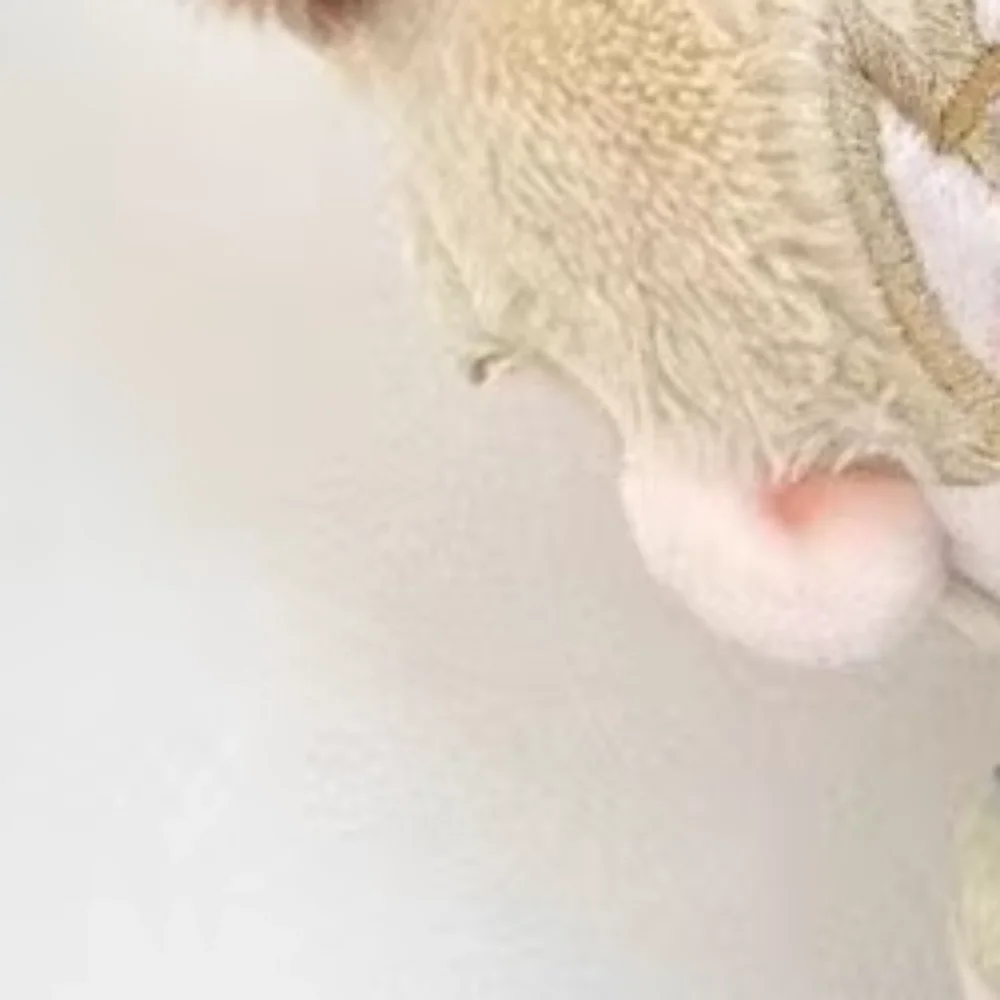 Новый 10 см Mitsumi Iwakura Shima Smaart Skip and Loafer рюкзак кулон аниме периферийные куклы для
Новый 10 см Mitsumi Iwakura Shima Smaart Skip and Loafer рюкзак кулон аниме периферийные куклы для