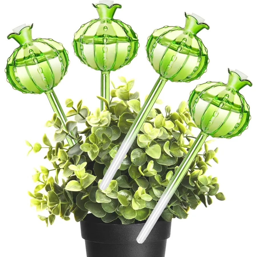 4 Pack Self Watering Planter InsertPlant Watering Devices Plant Watering Globes for Indoor Plants Easy Plants Live Houseplants
4 Pack Self Watering Planter InsertPlant Watering Devices Plant Watering Globes for Indoor Plants Easy Plants Live Houseplants