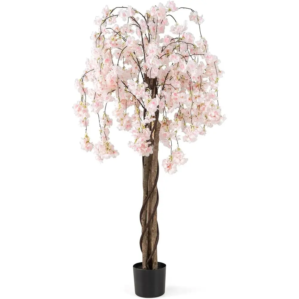 5.5ft Tall Artificial Cherry Blossom Tree with White Flowers, Potted for Indoor or Outdoor Home and Office Decor
5.5ft Tall Artificial Cherry Blossom Tree with White Flowers, Potted for Indoor or Outdoor Home and Office Decor