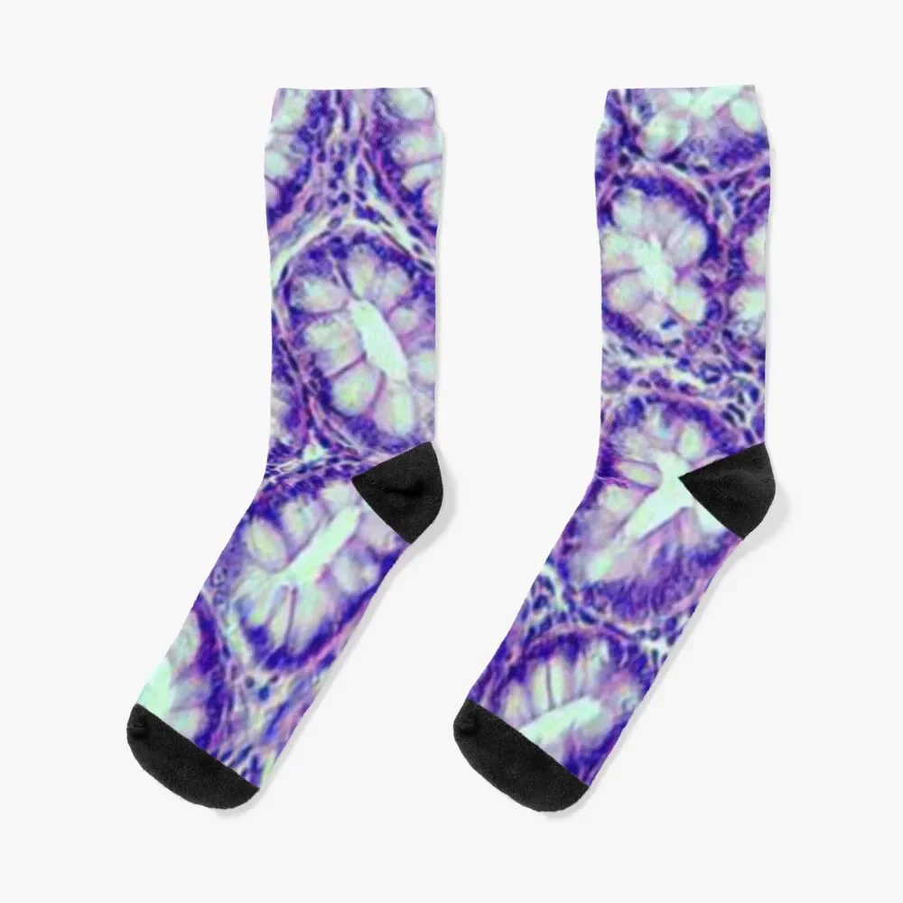 Lieberkhun - colon Socks Climbing Soccer Wholesale valentine gift ideas Socks For Women Men's
Lieberkhun - colon Socks Climbing Soccer Wholesale valentine gift ideas Socks For Women Men's