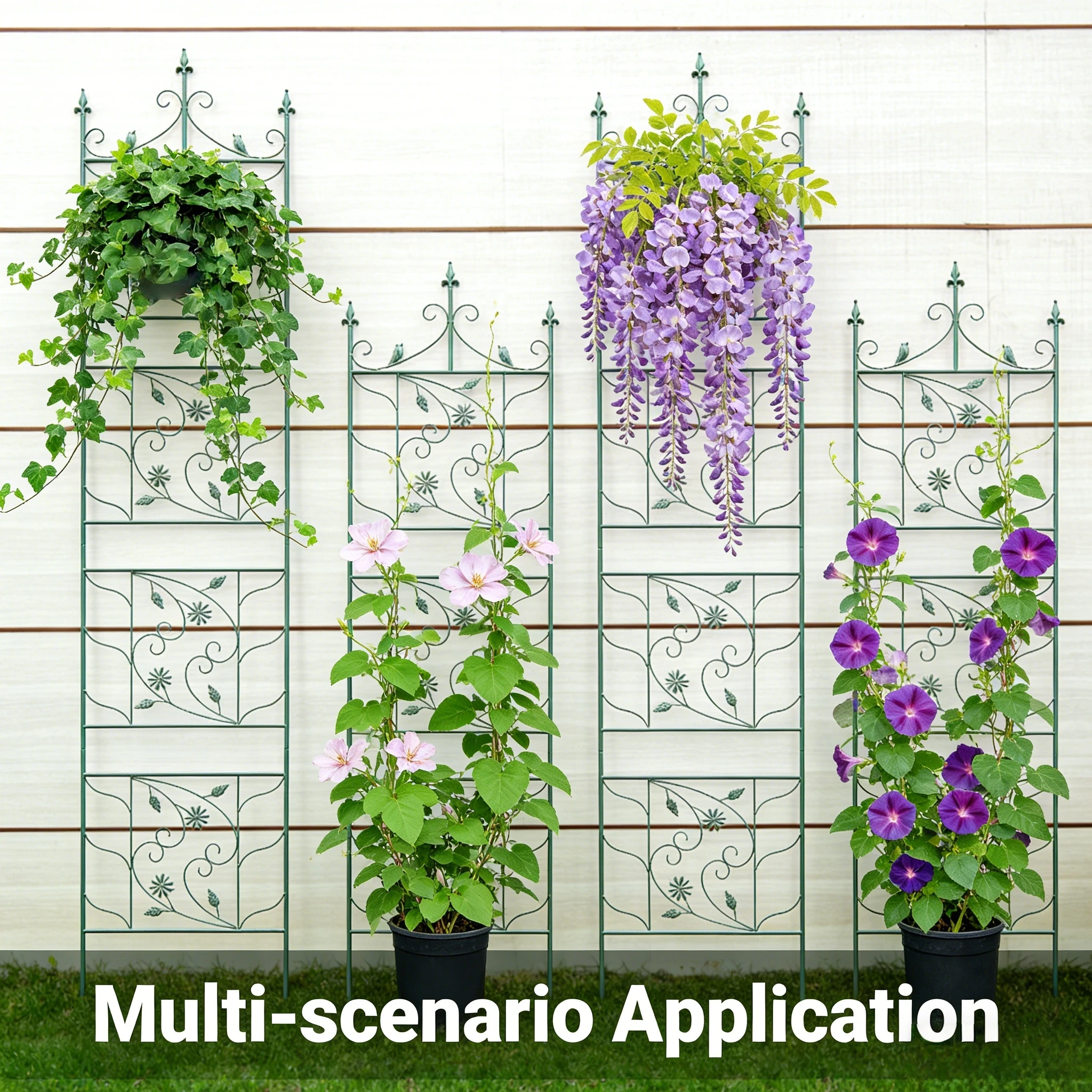 European-Style Vintage Wrought Iron Outdoor Flower Stand, Climbing Support for Clematis and Roses, Can Be Assembled as a Plant Support Frame
European-Style Vintage Wrought Iron Outdoor Flower Stand, Climbing Support for Clematis and Roses, Can Be Assembled as a Plant Support Frame