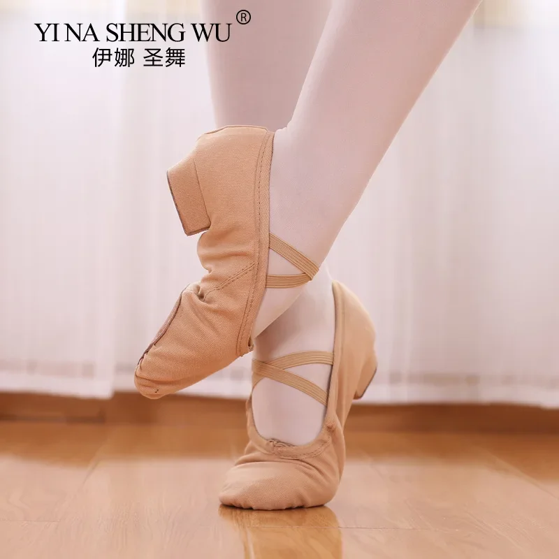Girls Ballet Shoes Canvas Soft Sole Ballet Dance Slippers Adult Women Practise Ballerina Shoes Female Dancing Shoes for Women
Girls Ballet Shoes Canvas Soft Sole Ballet Dance Slippers Adult Women Practise Ballerina Shoes Female Dancing Shoes for Women