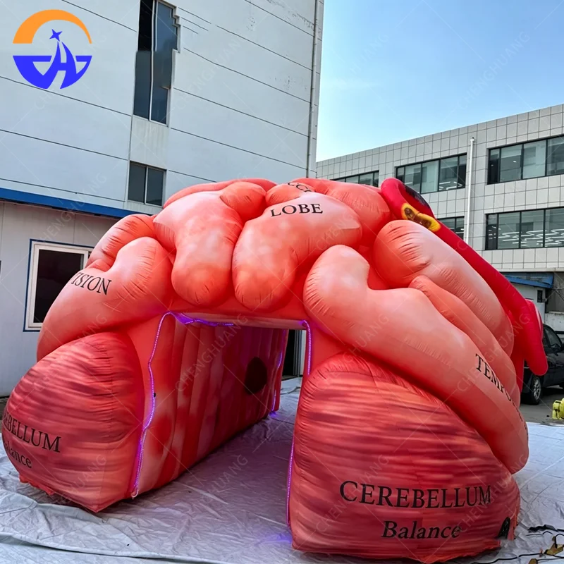 Customized simulation inflatable brain model outdoor commercial exhibition advertising decoration inflatable props
Customized simulation inflatable brain model outdoor commercial exhibition advertising decoration inflatable props