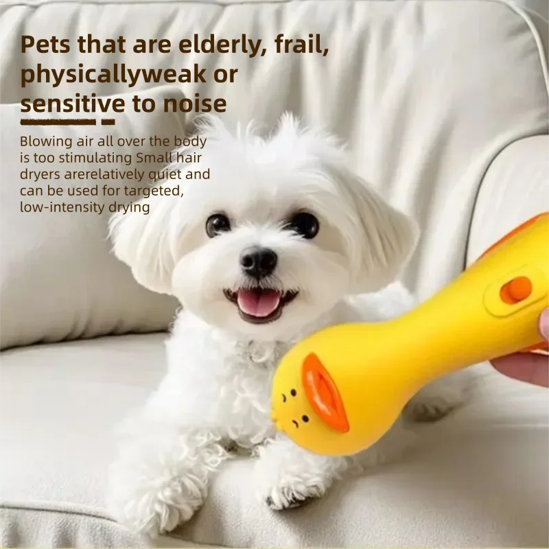 Dog Supplies Pet Hair Dryer Mini, Low Noise 2-Speed, Brush for Massage & Detangling, for Small Medium Dogs Cats, 70W Safe Blower
Dog Supplies Pet Hair Dryer Mini, Low Noise 2-Speed, Brush for Massage & Detangling, for Small Medium Dogs Cats, 70W Safe Blower