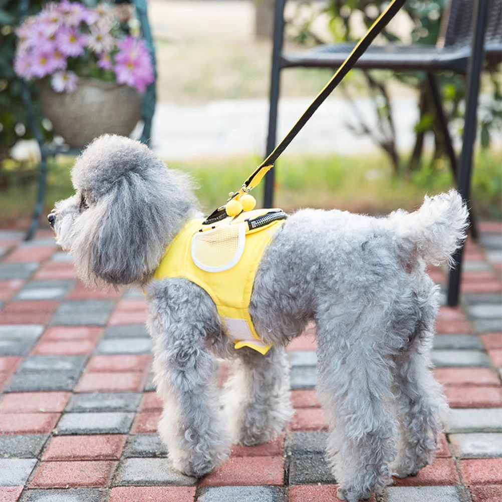 Dog Leash for Large Dogs Rope Medium Reflective Pet Vest Harness Puppy Chest Strap
Dog Leash for Large Dogs Rope Medium Reflective Pet Vest Harness Puppy Chest Strap