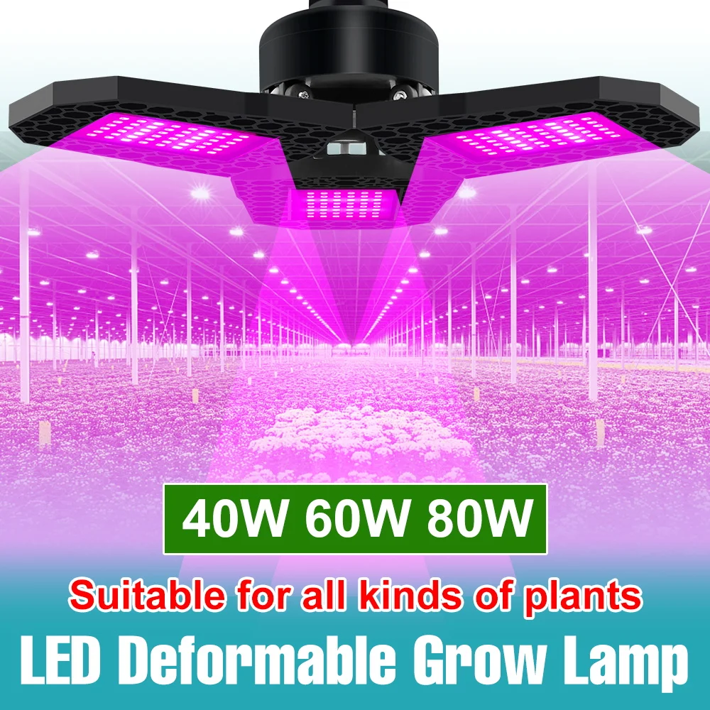 80W Full Spectrum LED Grow Bulb E27/E26 Indoor Plant Fill Lamp Greenhouse Tent Seedings Fruit Vegs Flower Cultivation Lighting
80W Full Spectrum LED Grow Bulb E27/E26 Indoor Plant Fill Lamp Greenhouse Tent Seedings Fruit Vegs Flower Cultivation Lighting