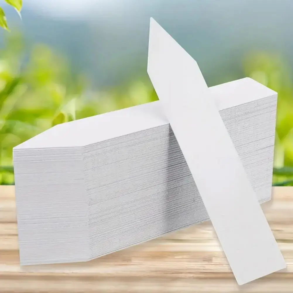 4 Inch Plant Labels Plastic Plant Name Tags Plant Tag Stakes With Marker Pen For Seedlings Flowers Herbs Vegetables 식물 이름 라벨
4 Inch Plant Labels Plastic Plant Name Tags Plant Tag Stakes With Marker Pen For Seedlings Flowers Herbs Vegetables 식물 이름 라벨