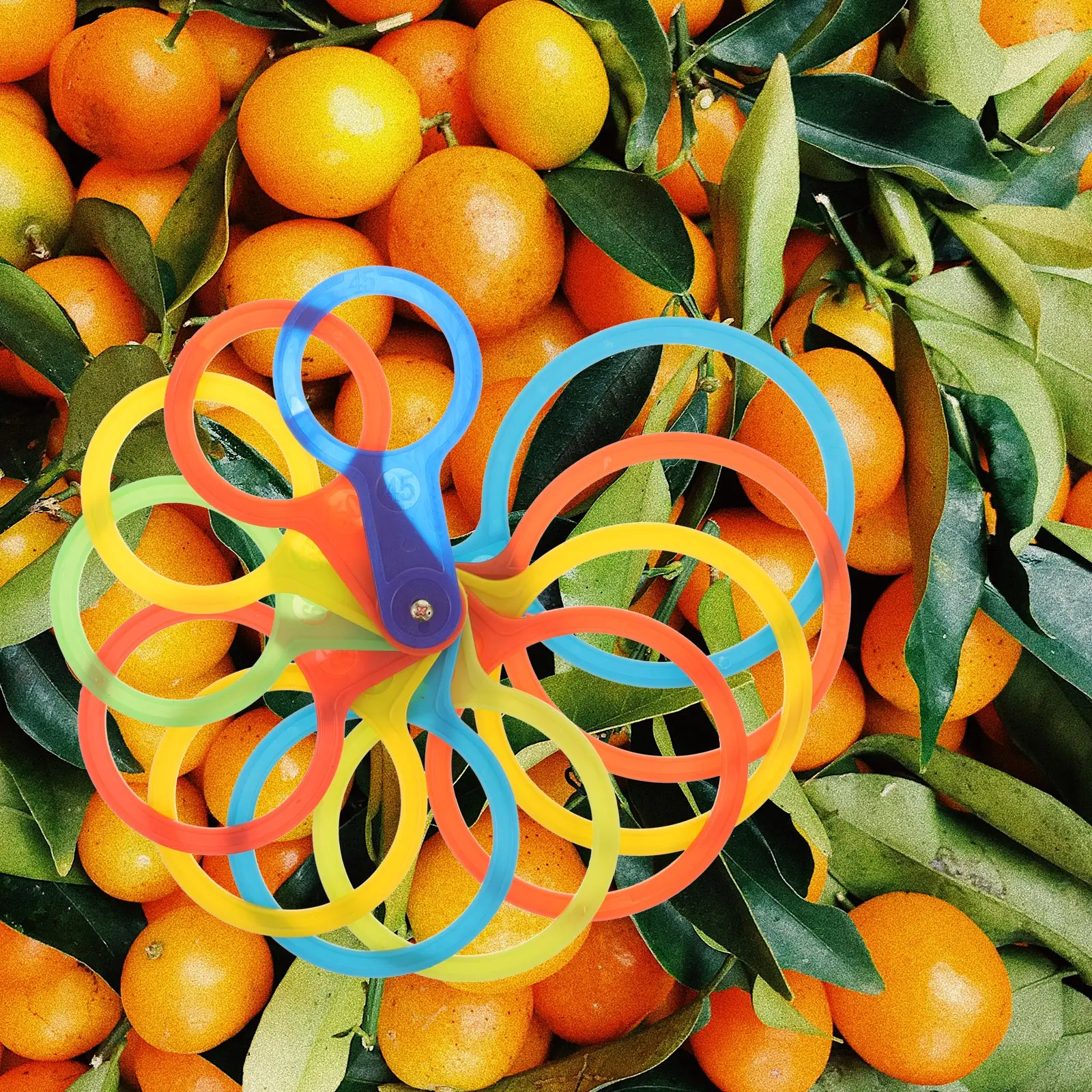 Plastic Fruit Measuring Lap Diameter Gauge Tool for Apples Peaches Citrus Pears Farm Market Gardening Supplies Durable
Plastic Fruit Measuring Lap Diameter Gauge Tool for Apples Peaches Citrus Pears Farm Market Gardening Supplies Durable