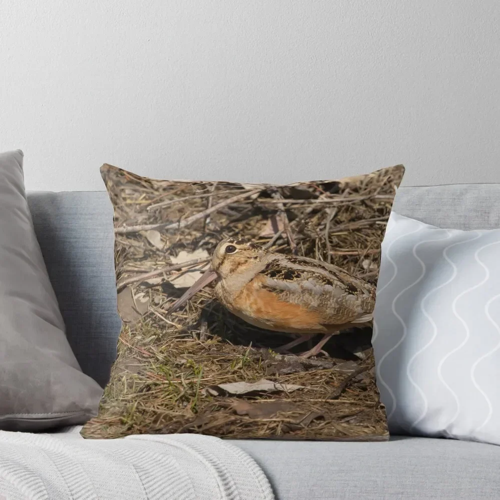 American Woodcock 1 Throw Pillow Cushion Covers For Living Room Christmas Pillows pillow
American Woodcock 1 Throw Pillow Cushion Covers For Living Room Christmas Pillows pillow
