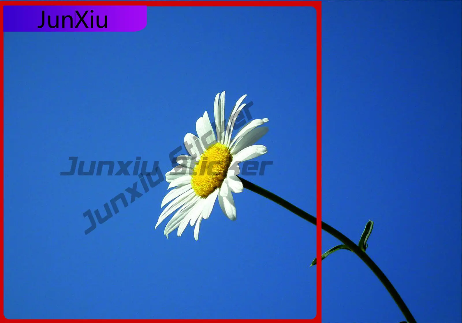 Daisy Love Flowers Vinyl Stickers Waterproof Scratch-proof Exterior Accessories Car Van Truck Taxi Lorry Camper Windows Windshie
Daisy Love Flowers Vinyl Stickers Waterproof Scratch-proof Exterior Accessories Car Van Truck Taxi Lorry Camper Windows Windshie