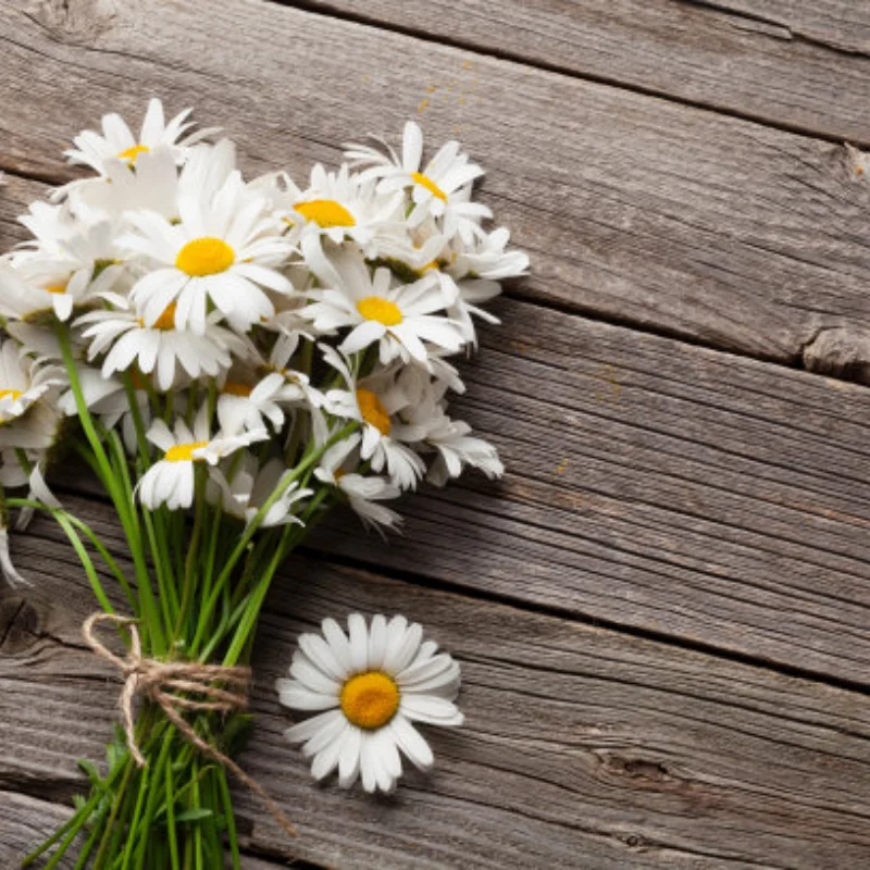 HB 1/10 R1001 R1002 R1003 RC Car Parts Metal Pull Rod
HB 1/10 R1001 R1002 R1003 RC Car Parts Metal Pull Rod