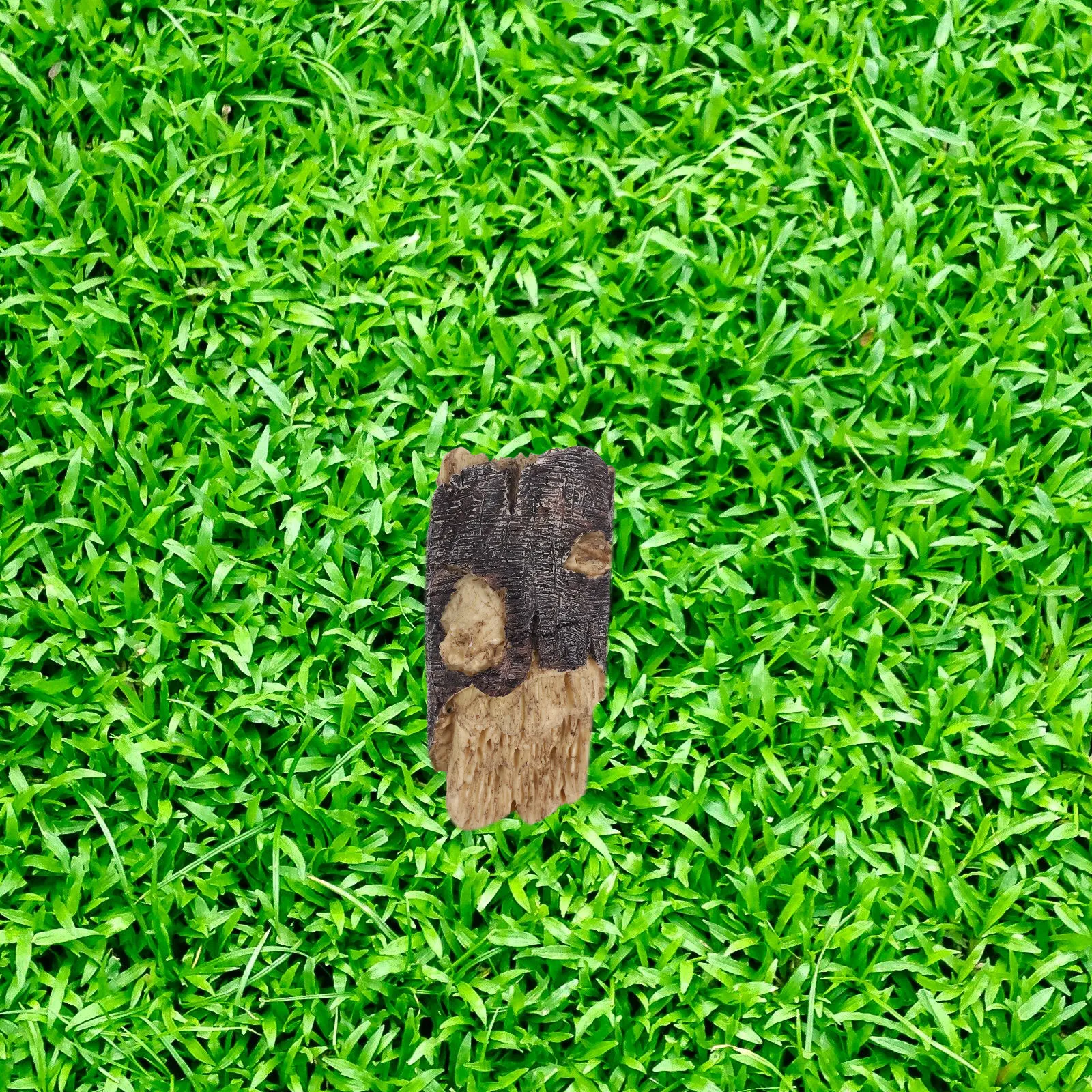 Key Hiding Place for Outdoors Keepers outside Hide Secret Holder Fake