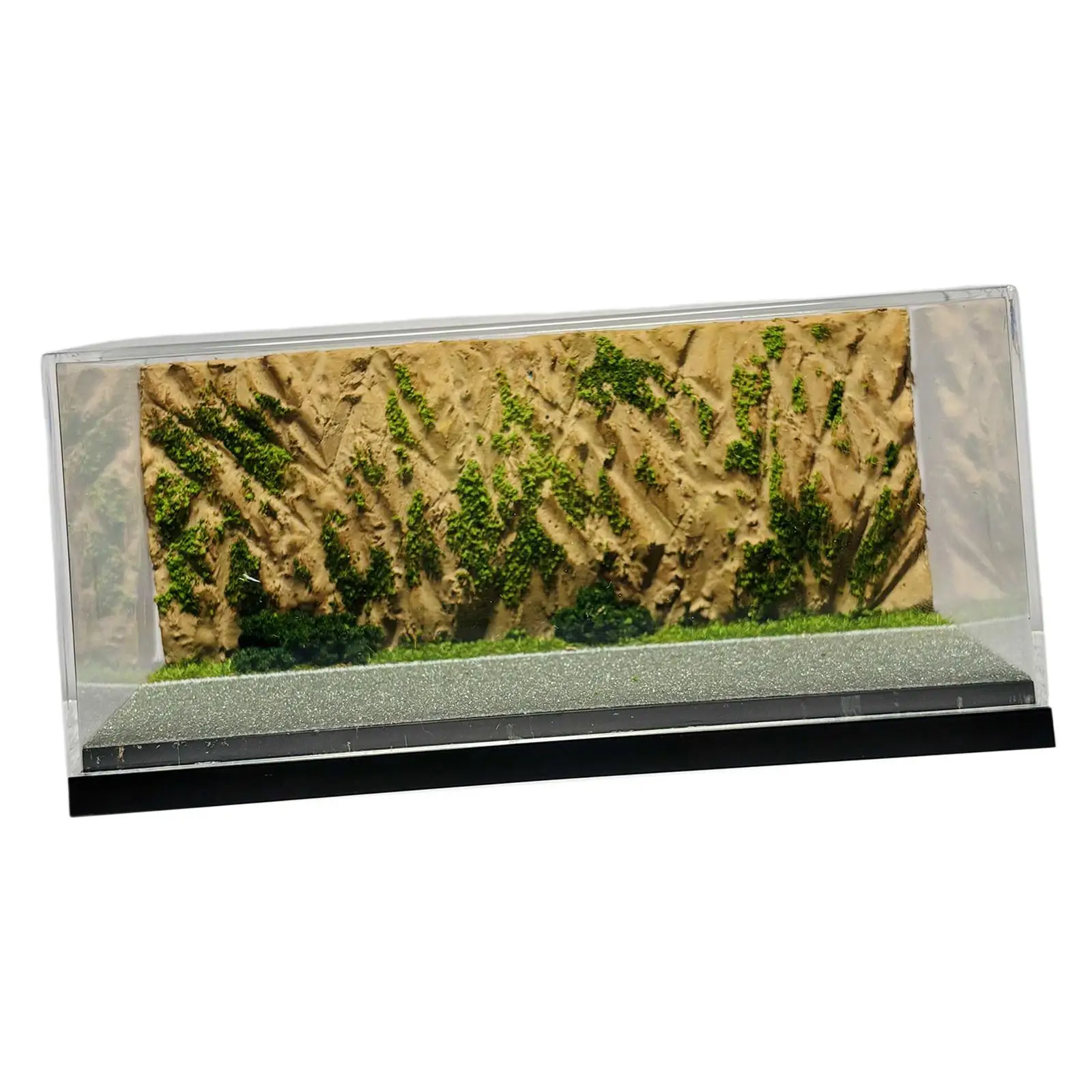 1/64 Diecast Wheels Display Case Display Box DIY Dustproof Cover Realistic
1/64 Diecast Wheels Display Case Display Box DIY Dustproof Cover Realistic