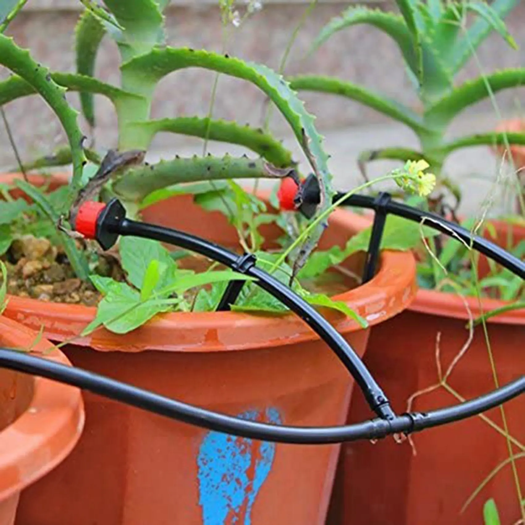 A36T-Drip Irrigation Barbed Connectors, Universal Barbed Tee Fittings 500Pcs, Fits 1/4 Inch Drip Tubing (4/7Mm Tee Pipe)
A36T-Drip Irrigation Barbed Connectors, Universal Barbed Tee Fittings 500Pcs, Fits 1/4 Inch Drip Tubing (4/7Mm Tee Pipe)