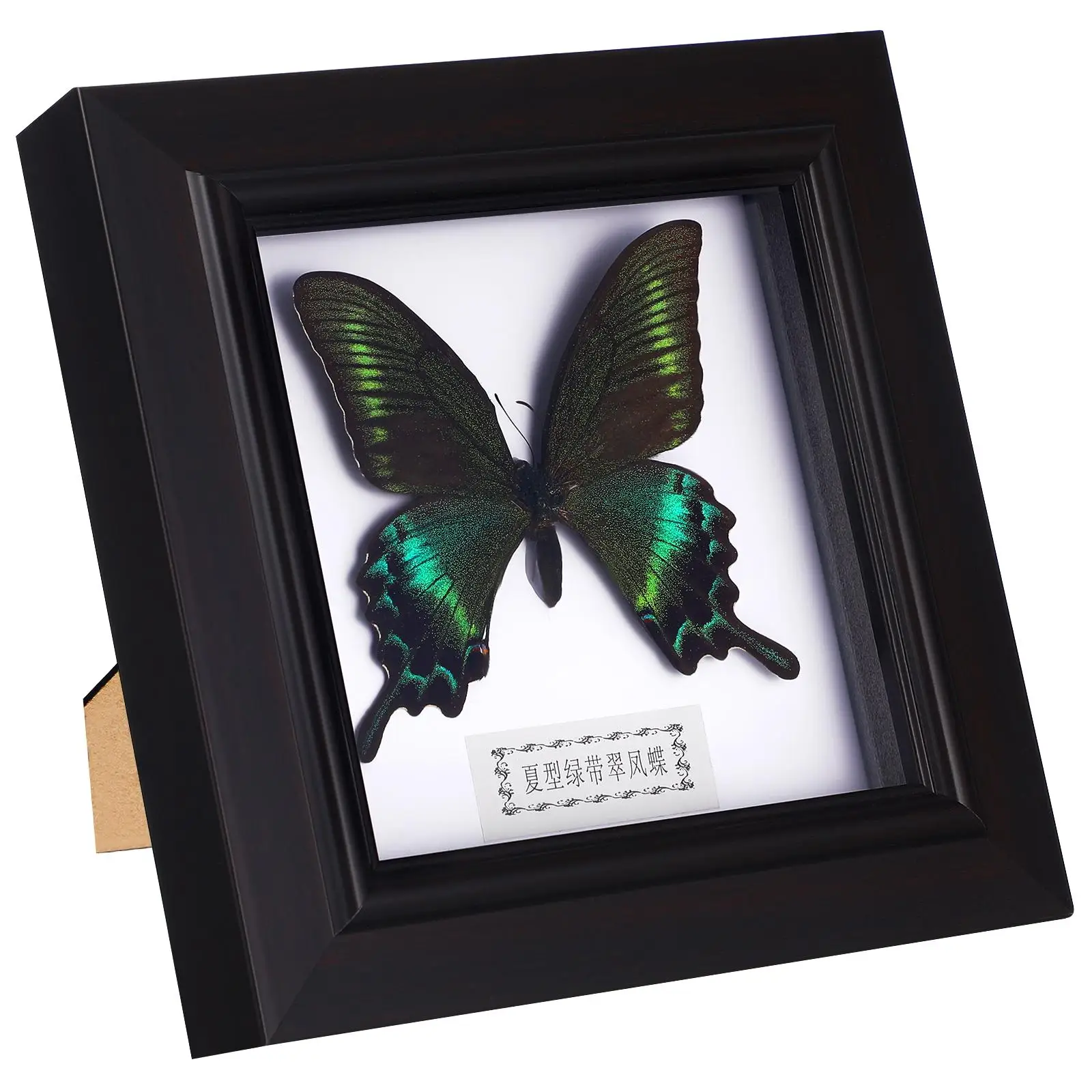 Simulated Butterfly Specimen Frame Decorative Model Framed Mounted Acrylic Home Wall Decor Photo Frames Gift
Simulated Butterfly Specimen Frame Decorative Model Framed Mounted Acrylic Home Wall Decor Photo Frames Gift