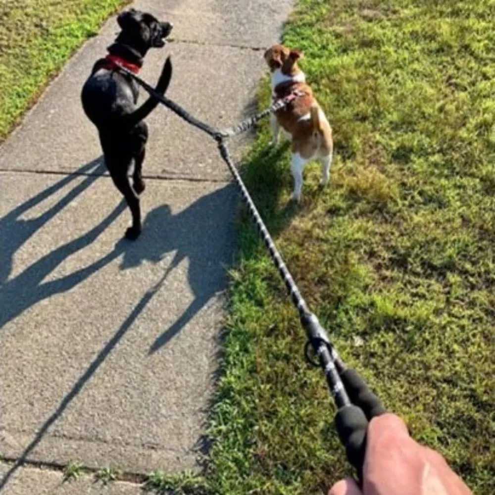 Shock Absorbing Two Dog Lead Rope Nylon Stretchable Double Headed Leash Multifunctional Anti-Winding Pet Walking Rope
Shock Absorbing Two Dog Lead Rope Nylon Stretchable Double Headed Leash Multifunctional Anti-Winding Pet Walking Rope