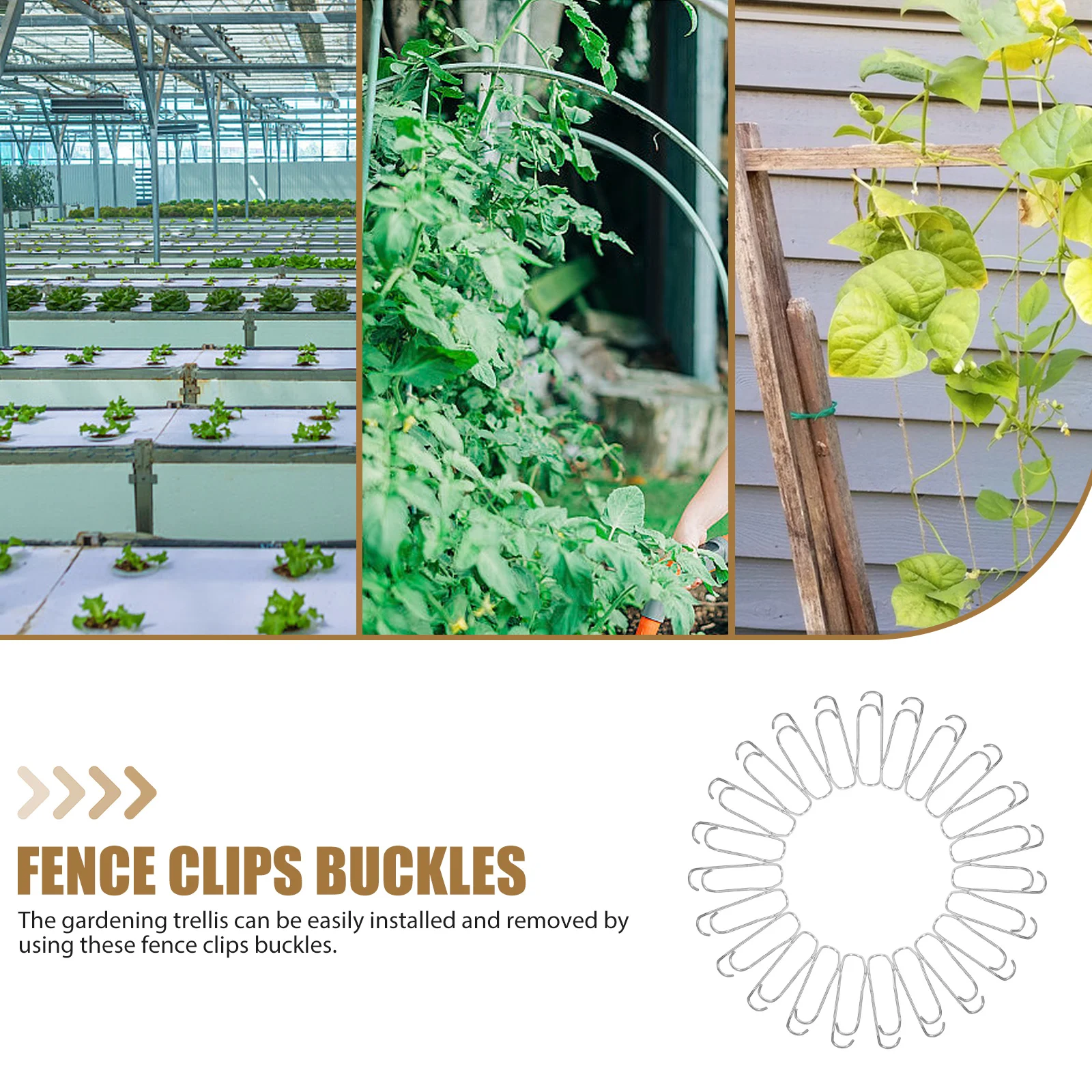 50pcs Garden Trellis Fixing Buckles Steel Wire Clips for Plants Support Fence Compatible with 8mm Rods Gardening Hardware
50pcs Garden Trellis Fixing Buckles Steel Wire Clips for Plants Support Fence Compatible with 8mm Rods Gardening Hardware