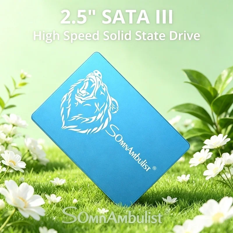 Remarkable SomnAmbulist SATA3 SSD 128GB-2TB Solid State Drive for Desktop & Laptop PC
Remarkable SomnAmbulist SATA3 SSD 128GB-2TB Solid State Drive for Desktop & Laptop PC